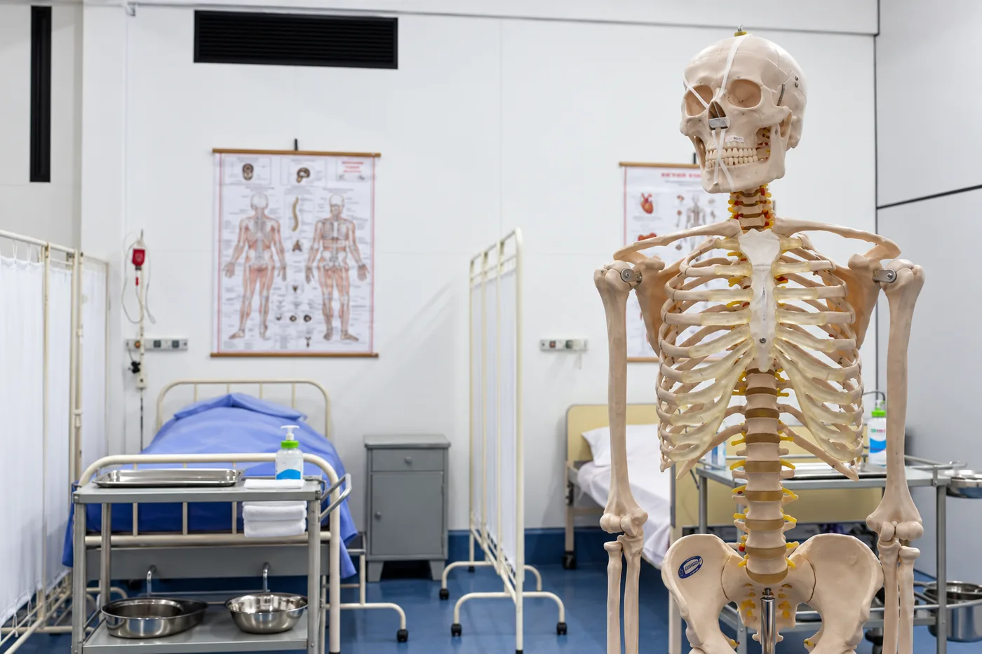 Laboratório de enfermagem com esqueleto anatômico
