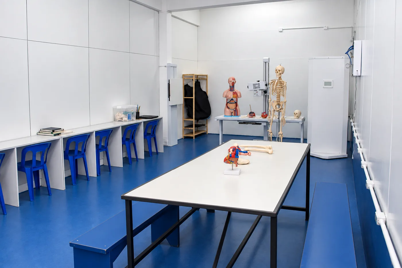 Laboratório técnico com modelos anatômicos