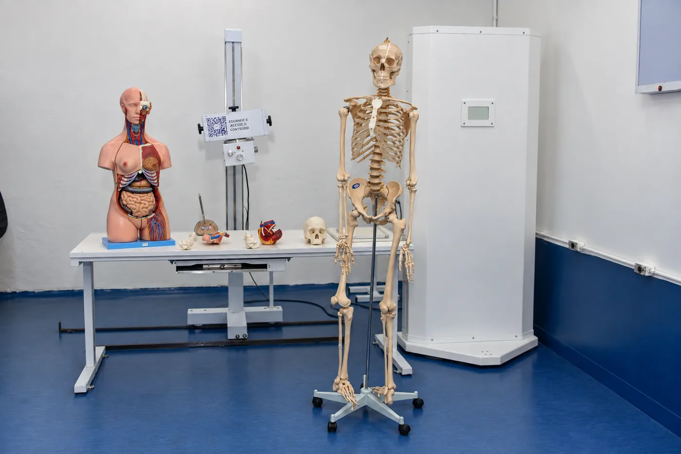 Sala de radiologia e anatomia