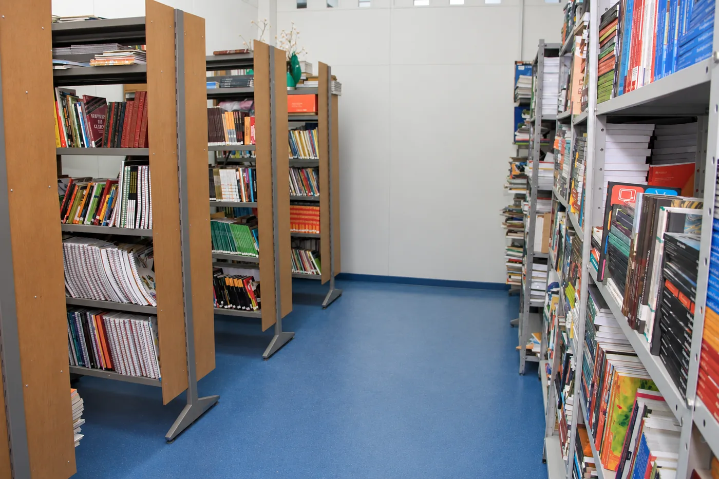 Biblioteca com acervo organizado